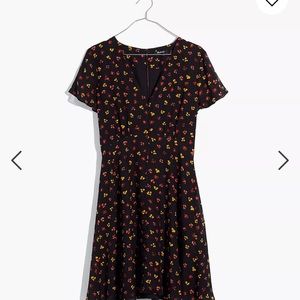 Madewell Silk Button-Front Swing Dress